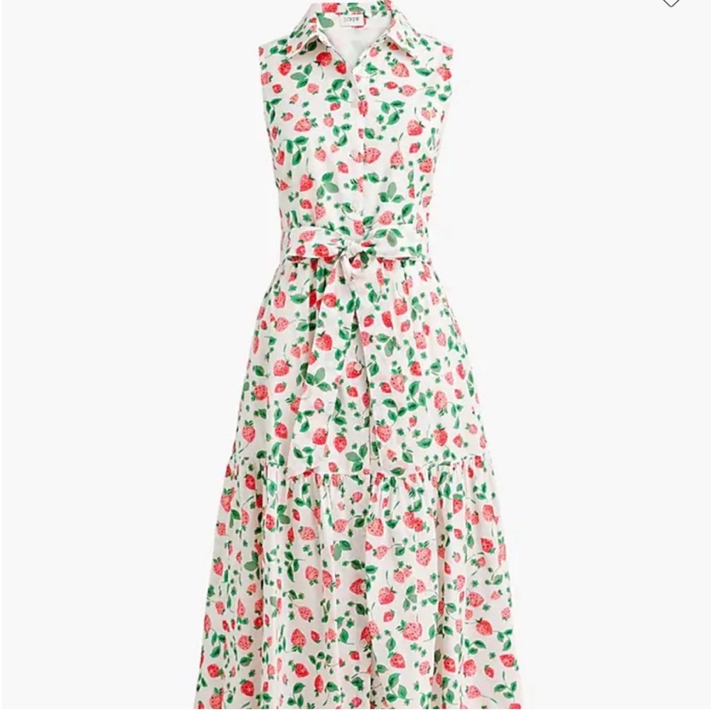 J.Crew Strawberry Shirtdress Size 12 • Collared Midi • Tie-Waist • Cotton Poplin